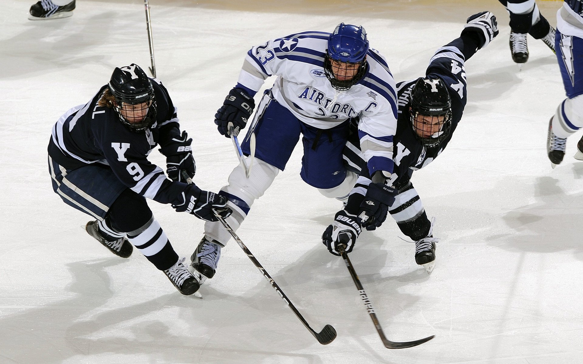 2026年国际泳联短池世锦赛落户中东 参赛人数创新高